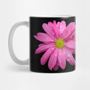 pink flower, blooms, flowers, nature, garden Mug